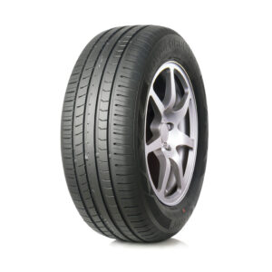 205/55R17 Leao Nova-Force HP100 95V